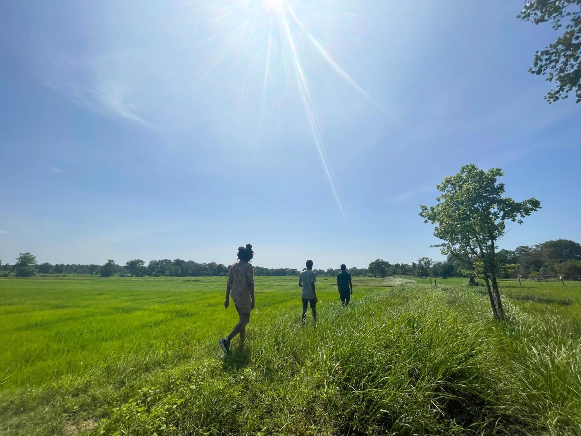 Sahana Retreat Buttala ภายนอก รูปภาพ