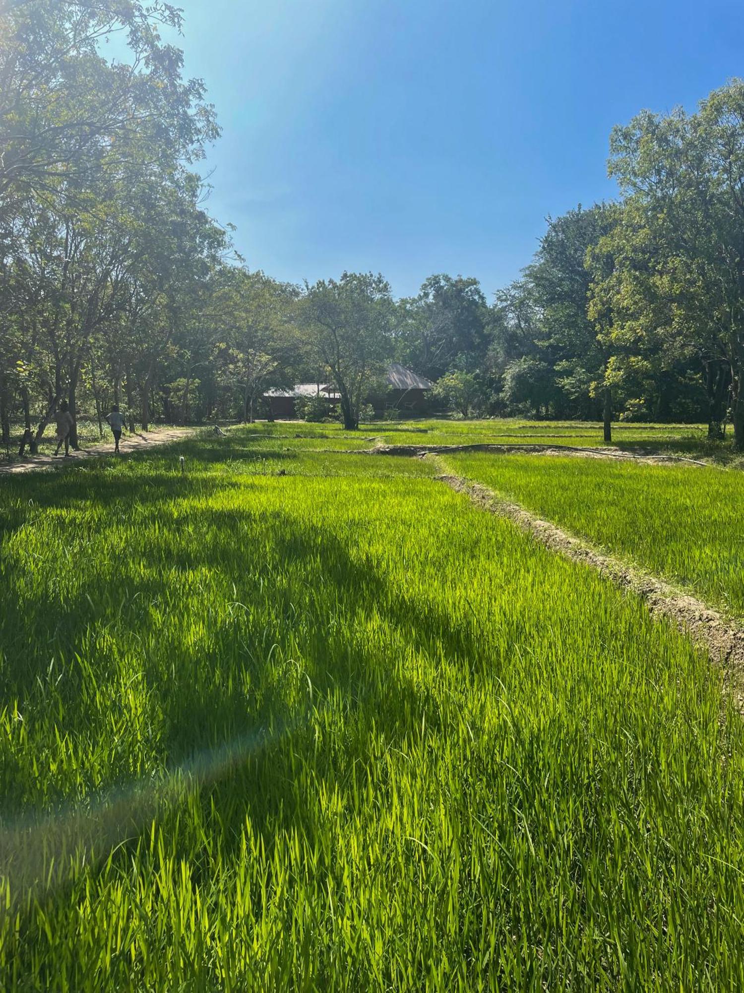 Sahana Retreat Buttala ภายนอก รูปภาพ
