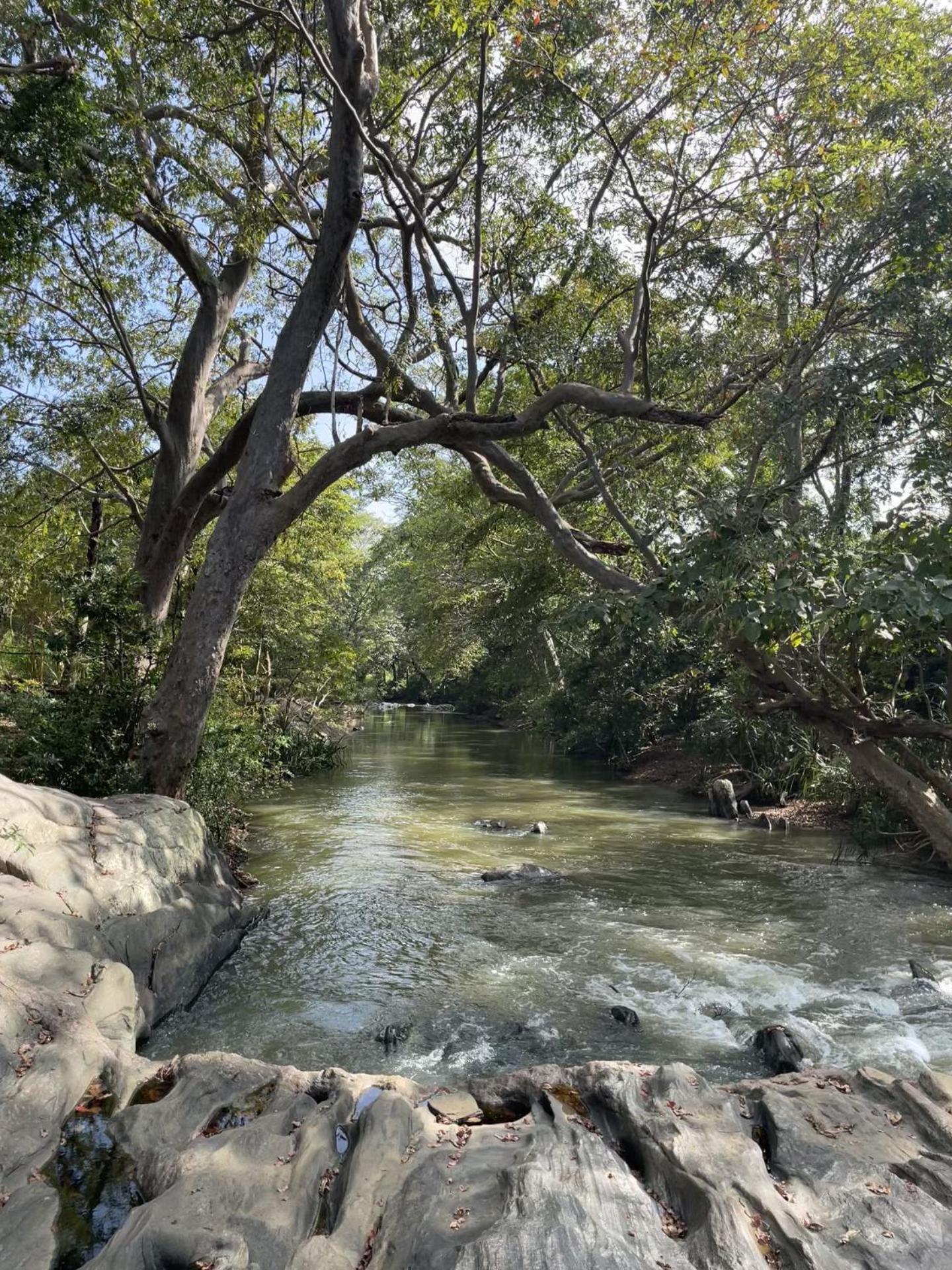 Sahana Retreat Buttala ภายนอก รูปภาพ