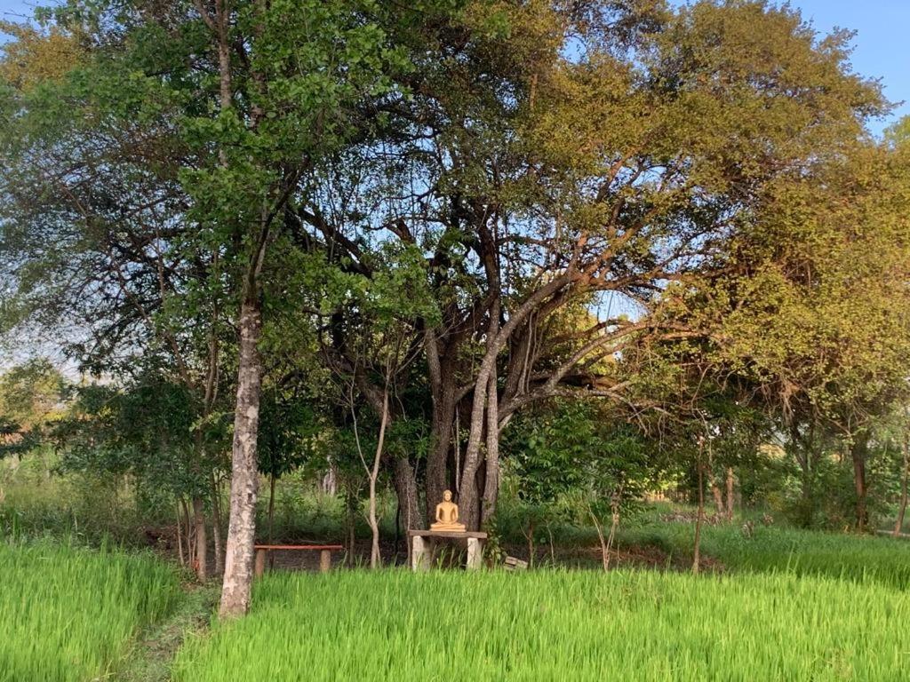 Sahana Retreat Buttala ภายนอก รูปภาพ
