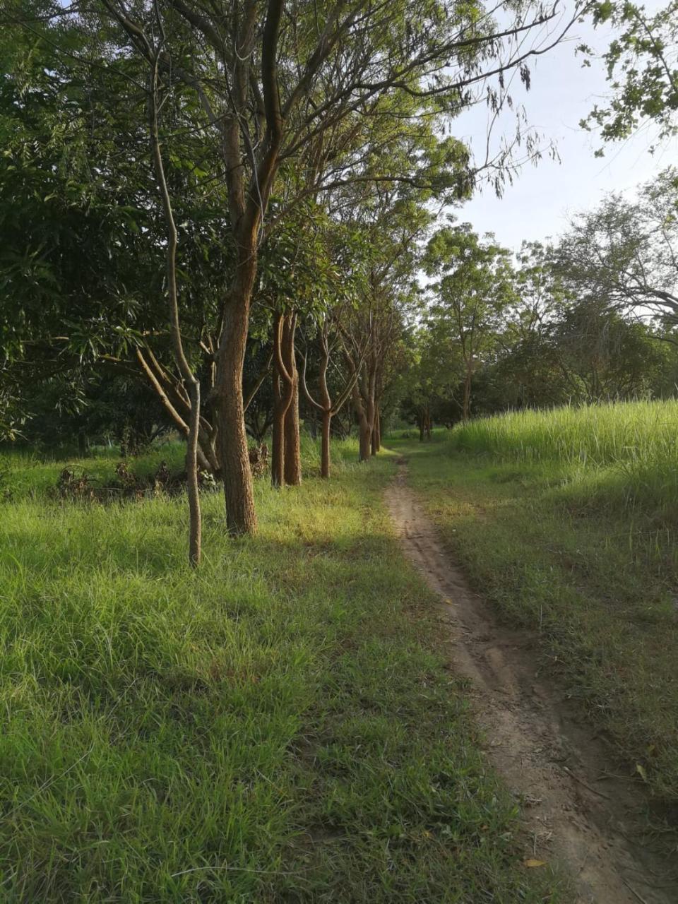 Sahana Retreat Buttala ภายนอก รูปภาพ